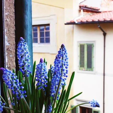 Appartamento In Via San Gallo-2